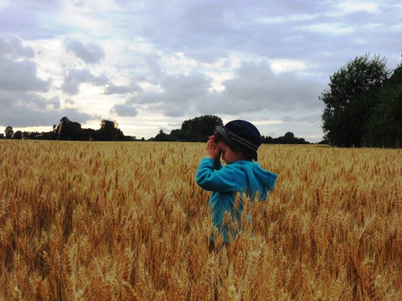 SAMSUNG DIGITAL CAMERA