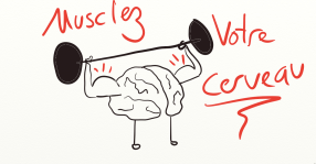 méditation et cerveau